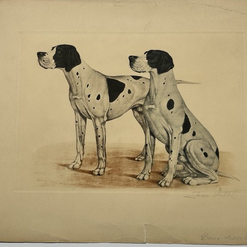 Stampa antica cani caccia - stampa,