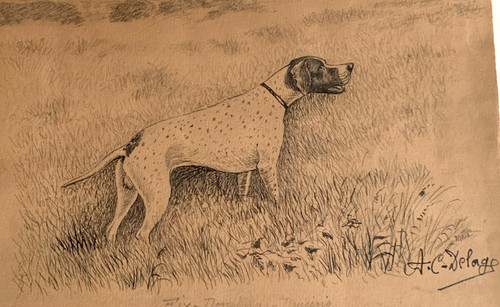 Antico disegno fine xix - antico,